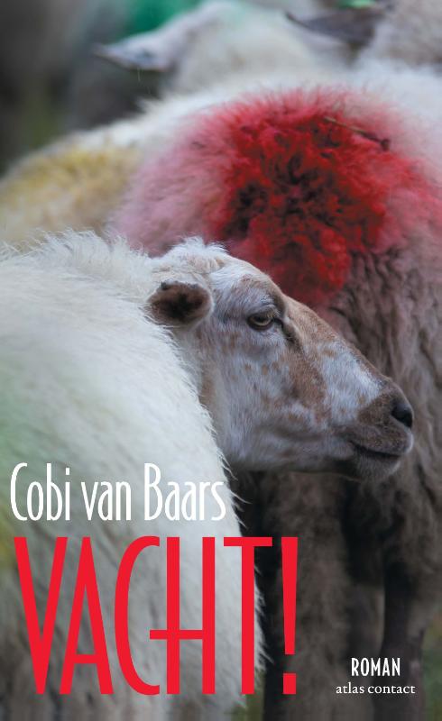 Vacht!