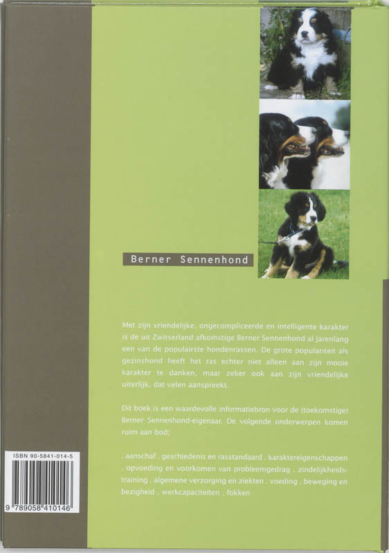 Berner Sennenhond achterkant