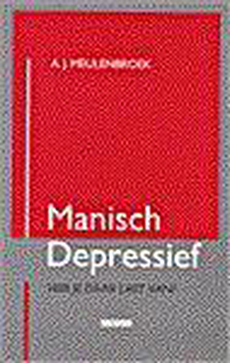 A.J. Meulenbroek Manisch Depressief / A-reeks