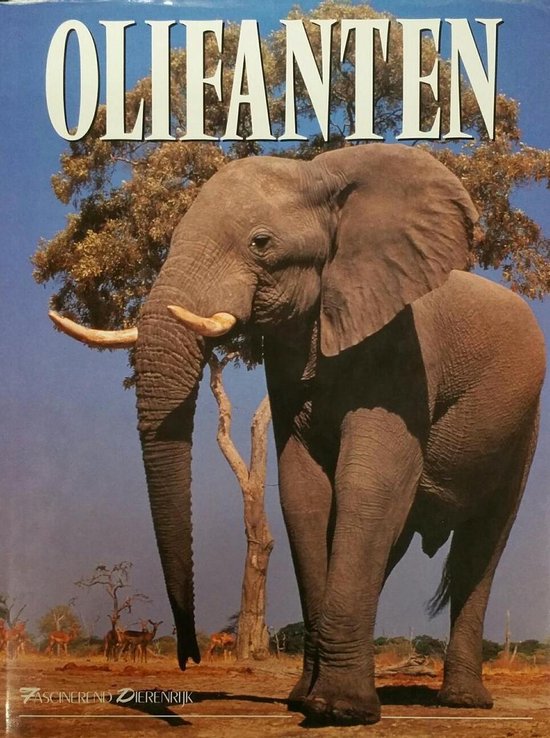 Olifanten