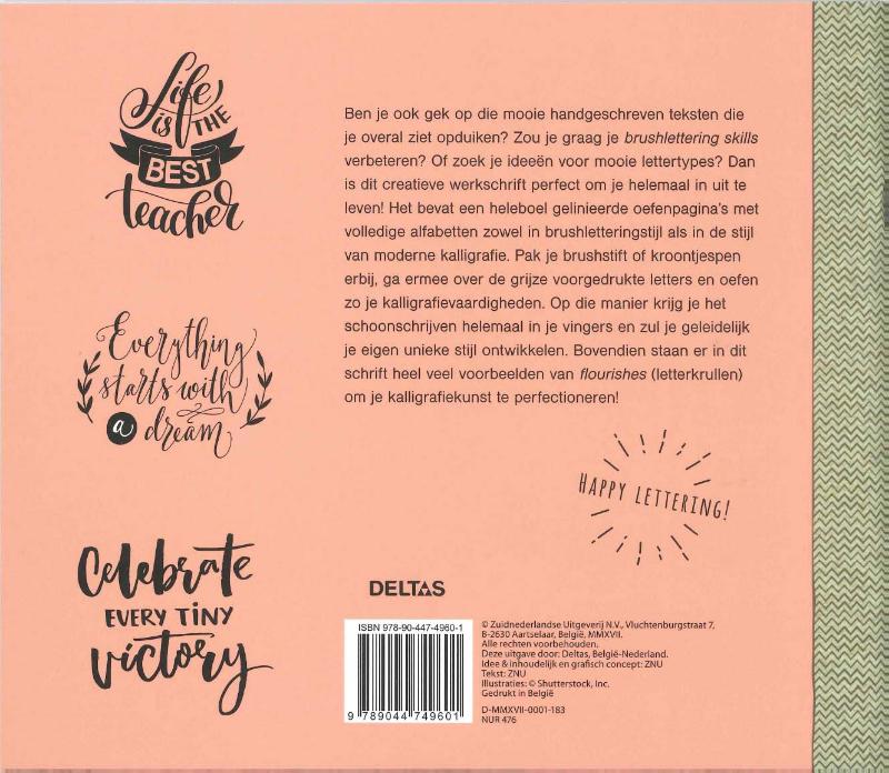 Brushlettering en moderne kalligrafie / Creatief werkschrift achterkant