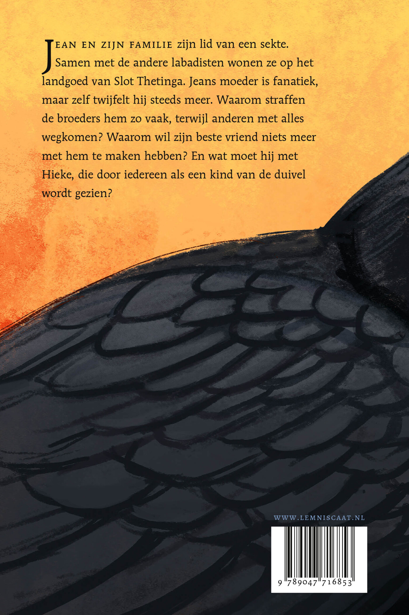 Het addergebroed van Slot Thetinga achterkant