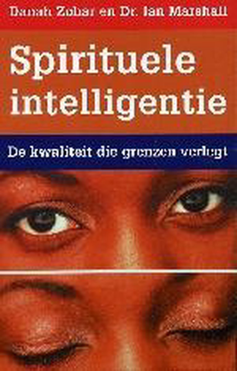 D. Zohar Spirituele Intelligentie thumbnail