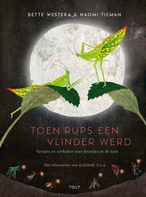 boekenbalie_9789021424262_cover Toen rups een vlinder werd