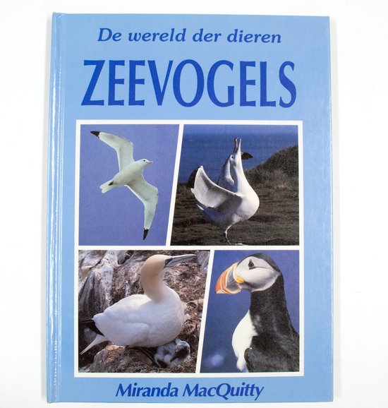 Zeevogels