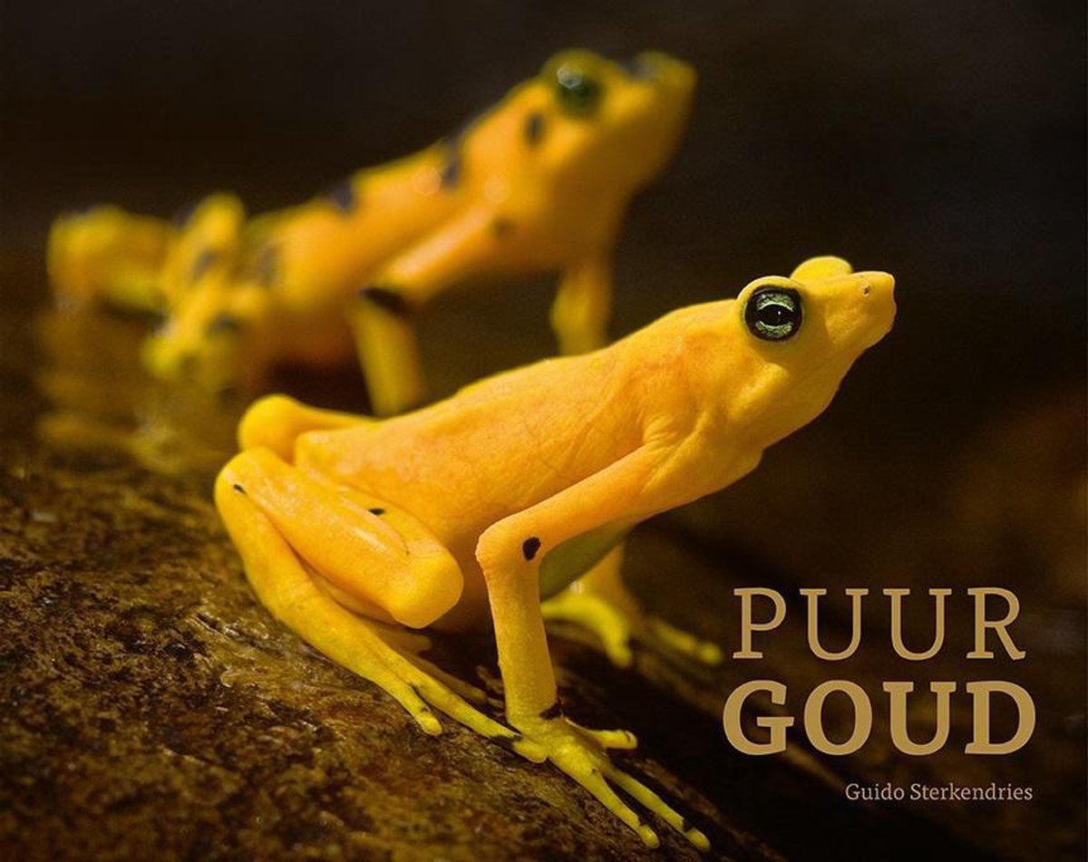 boekenbalie_9789082703825_cover Puur goud