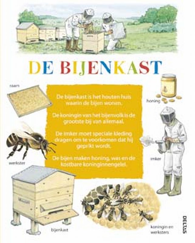 Kijk om je heen ! / De bijenkast