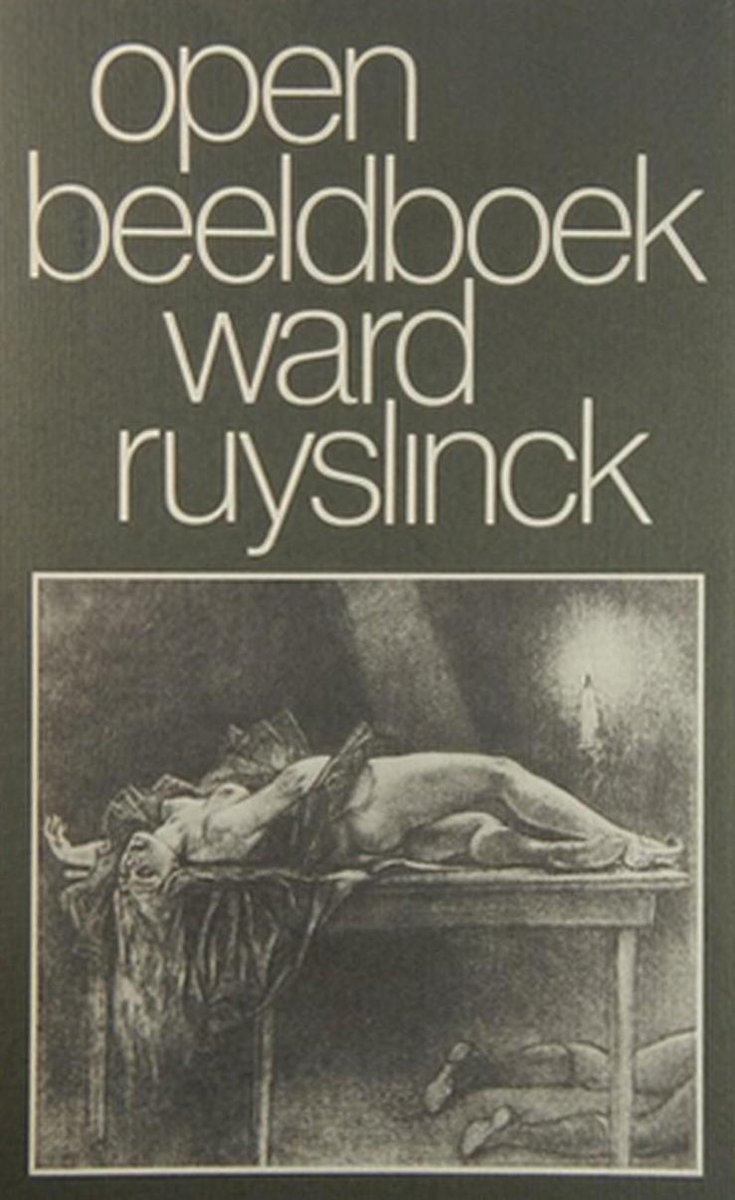 Open beeldboek