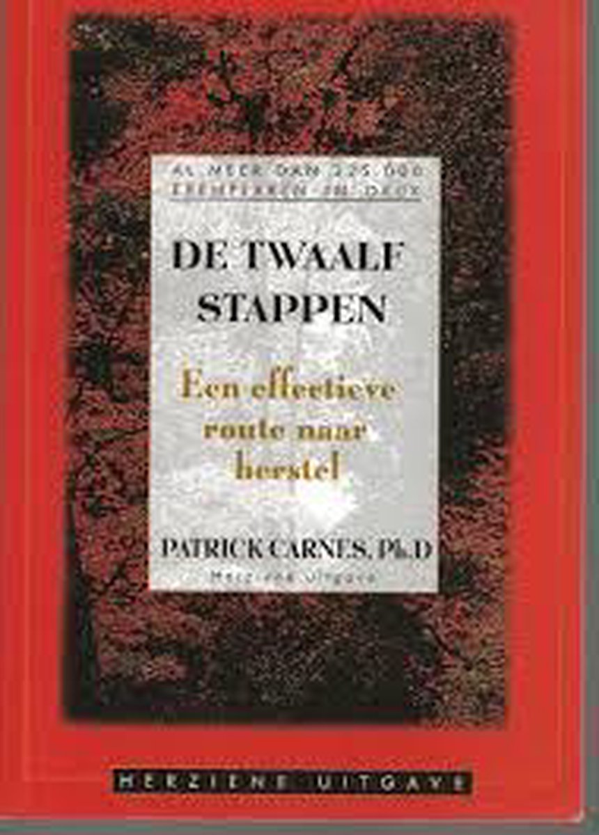 boekenbalie_9789081288118_cover De Twaalf Stappen : een vriendelijke leidraad naar herstel