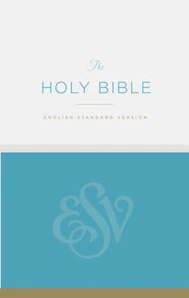 ESV economy bible blue paperback