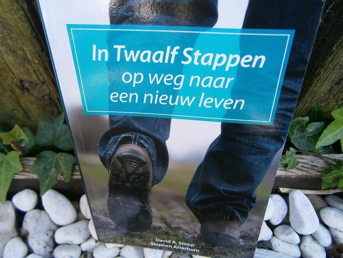 boekenbalie_9789073743335_cover IN TWAALF STAPPEN OP WEG NAAR EEN NIEUW LEVEN