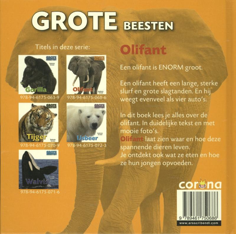 Olifant / Grote Beesten achterkant