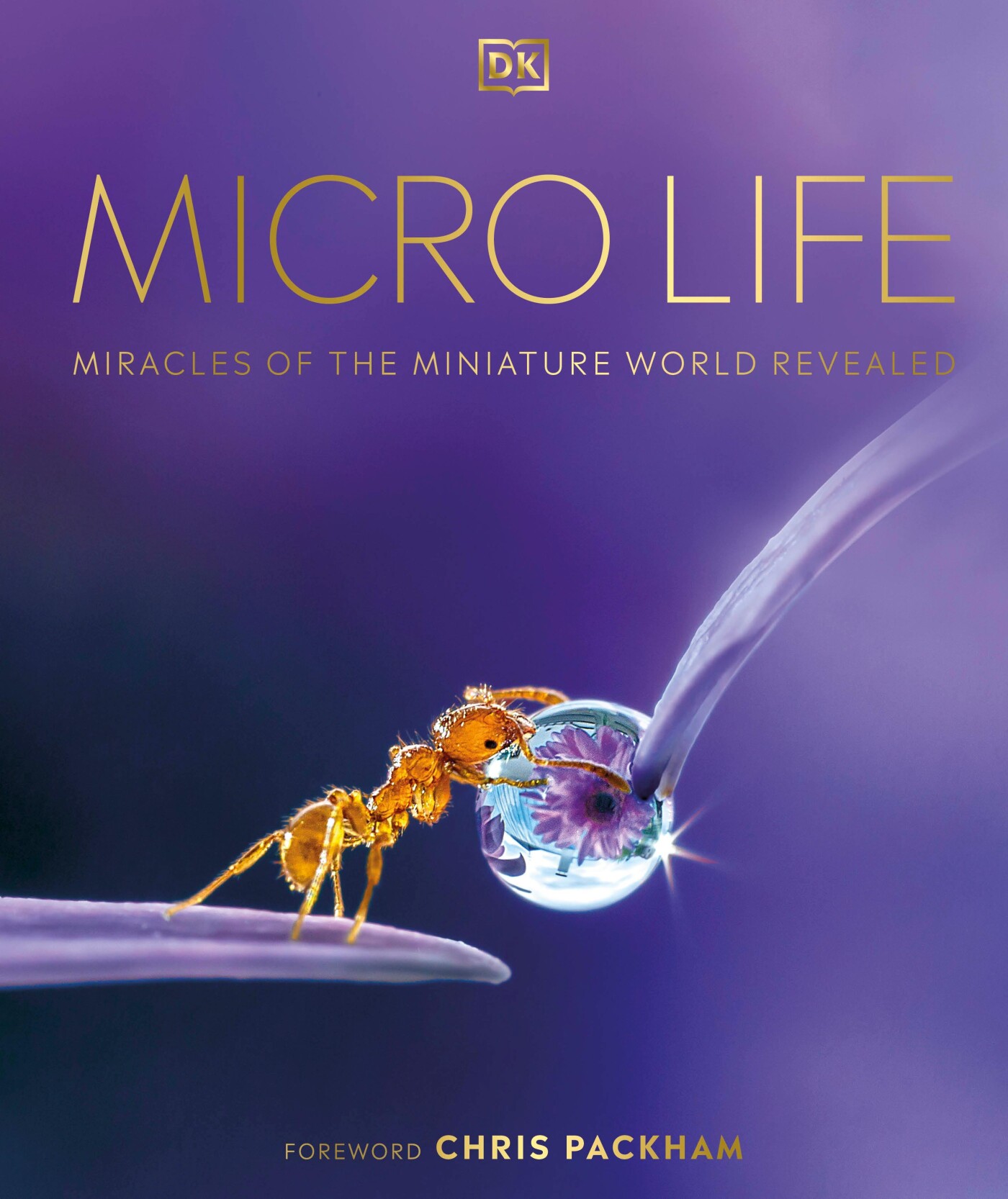 Micro life