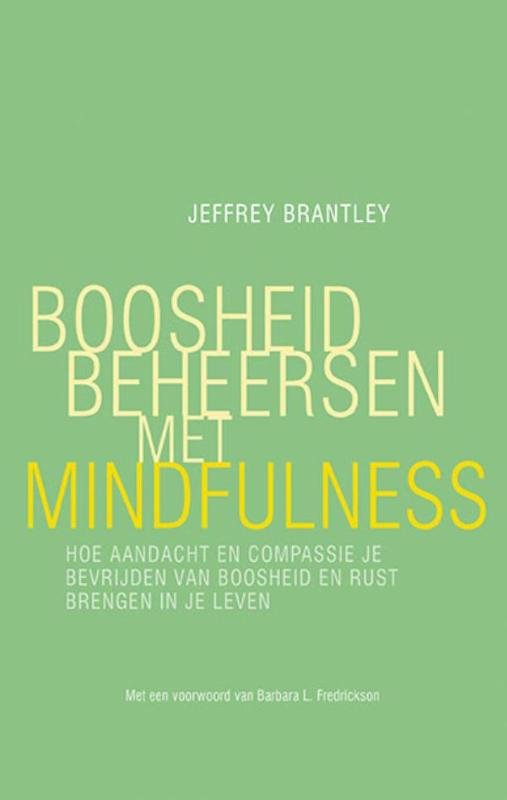 boekenbalie_9789057124266_cover Boosheid beheersen met mindfulness