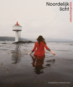 Noorderlijk licht