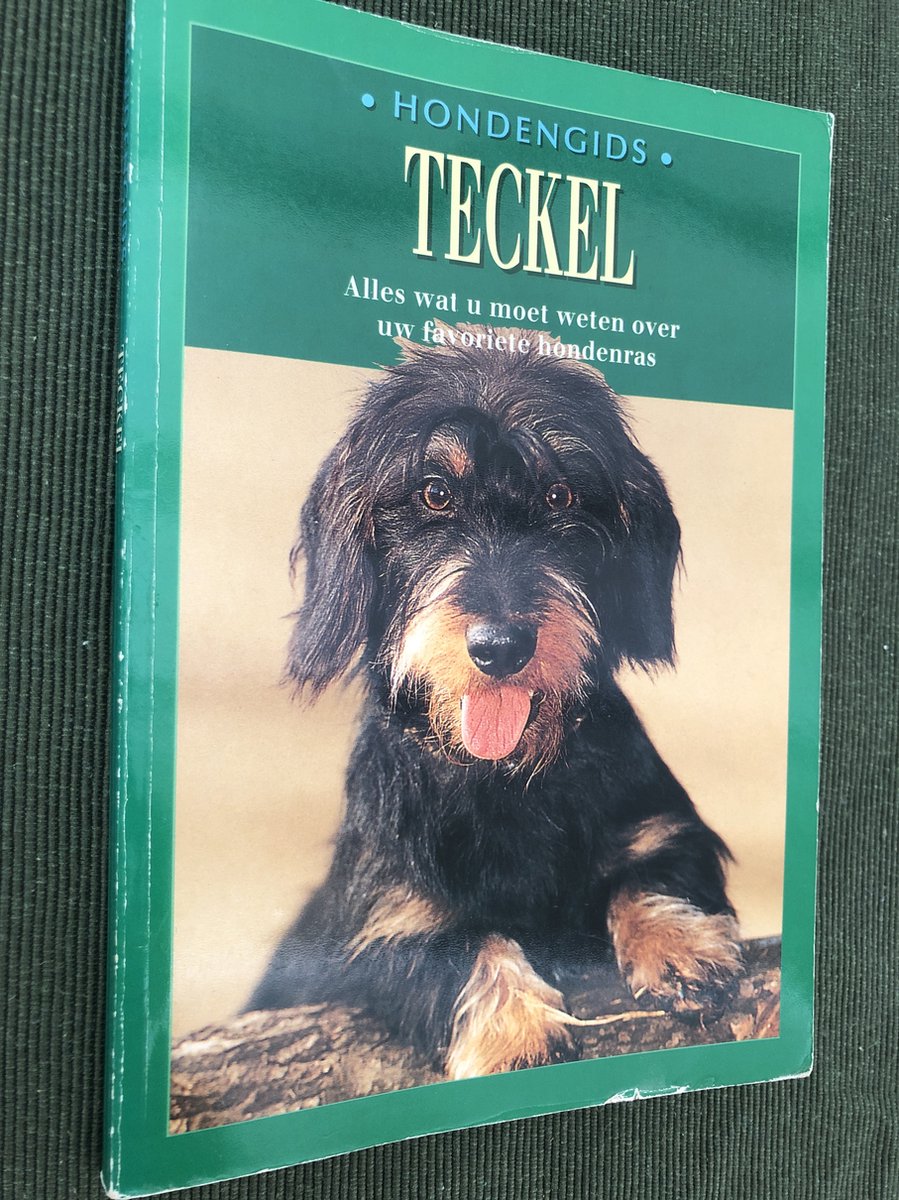 M. Wein-Gysae Teckel / Hondenrassen thumbnail