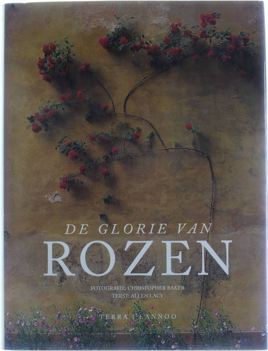Lacy Glorie Van Rozen thumbnail