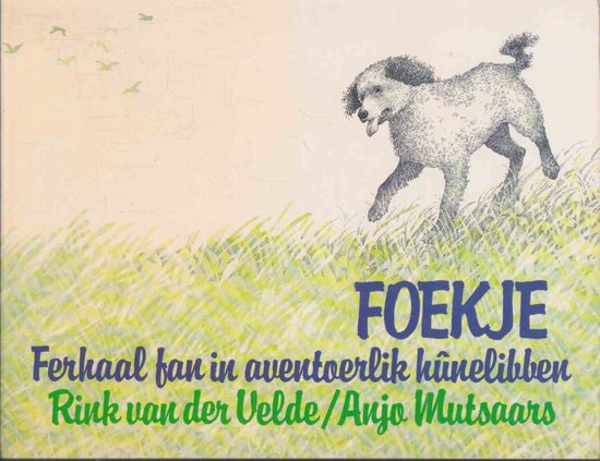 Rink van der Velde Foekje thumbnail