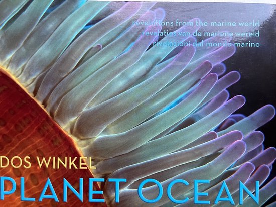 Dos Winkel Planet Ocean thumbnail