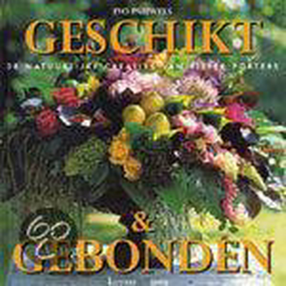 boekenbalie_9789020926491_cover Geschikt en gebonden / Geschikt en gebonden / 1