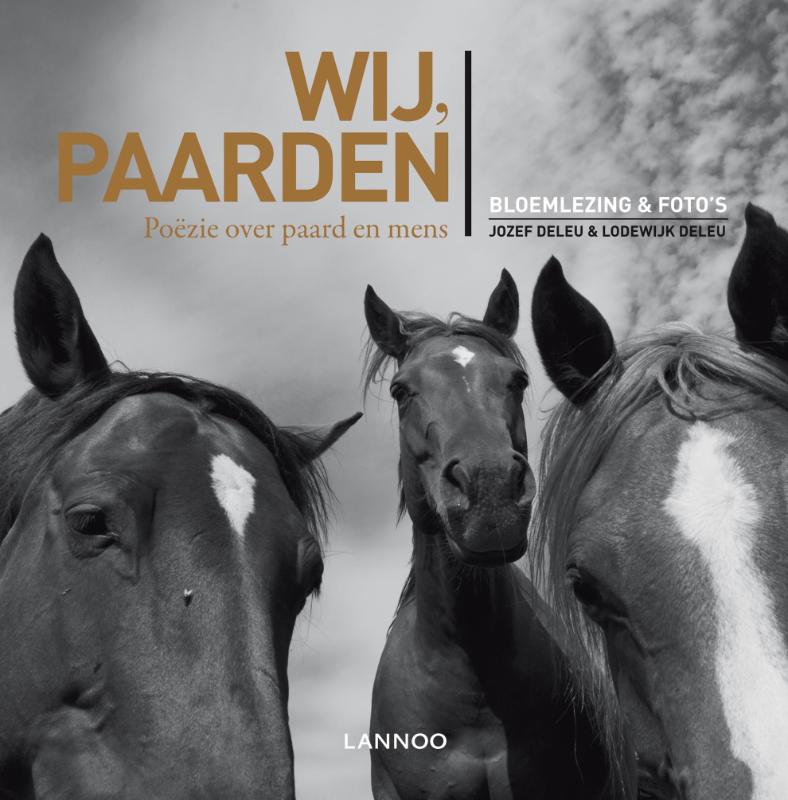Jozef Deleu Wij, Paarden thumbnail