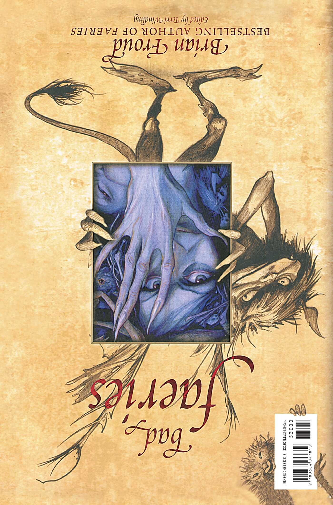 Good Faeries Bad Faeries achterkant