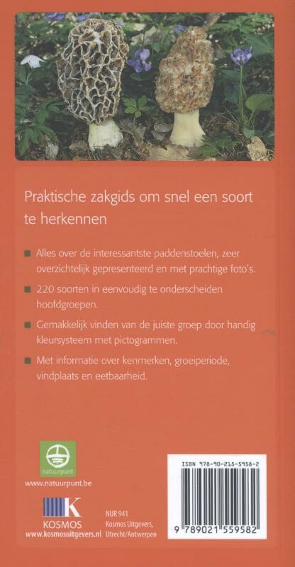 De kleine paddenstoelengids voor onderweg achterkant