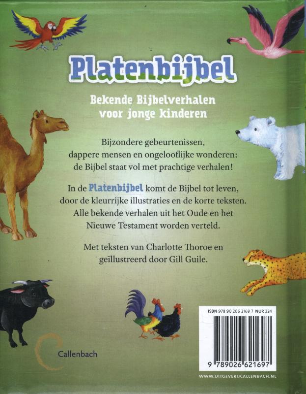 Platenbijbel achterkant