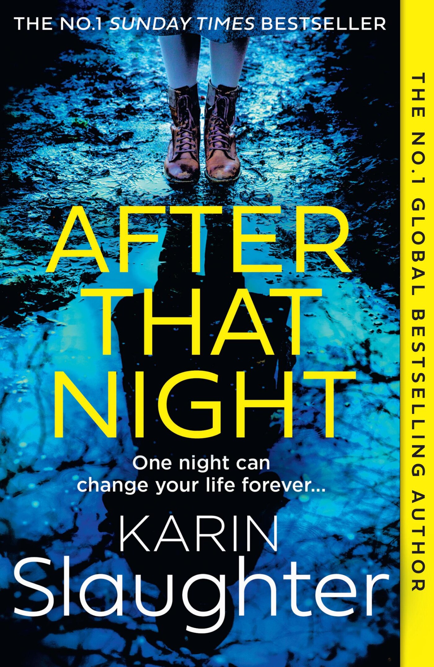 The After That Night / Will Trent Series