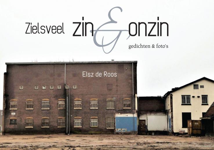 Zielsveel zin & onzin