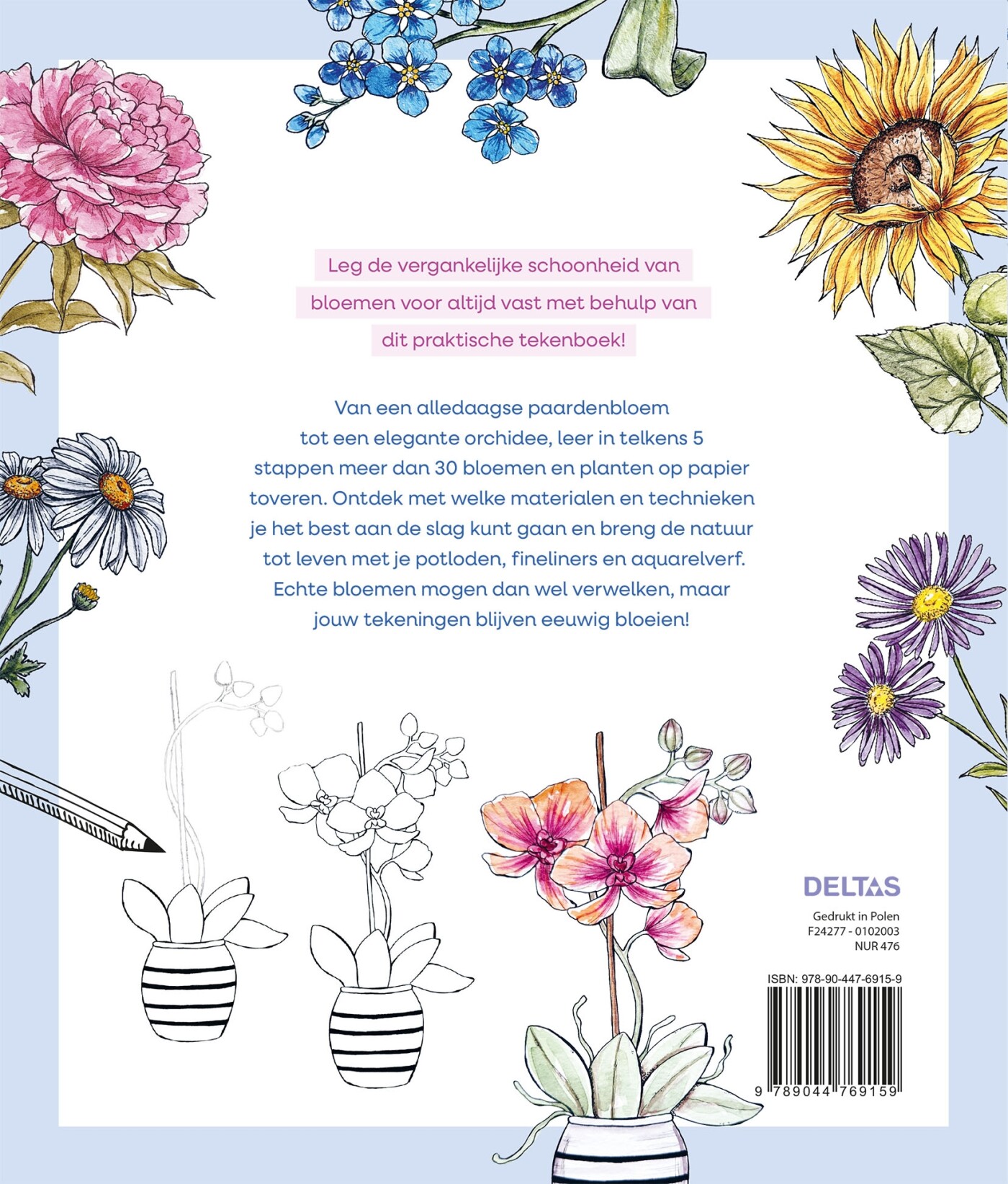 Stap voor stap bloemen leren tekenen achterkant