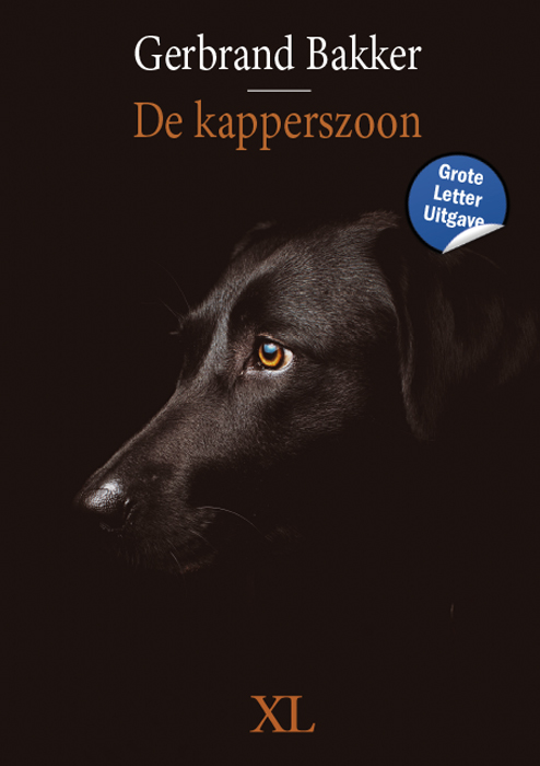 boekenbalie_9789046314180_cover De kapperszoon / XL / 1418