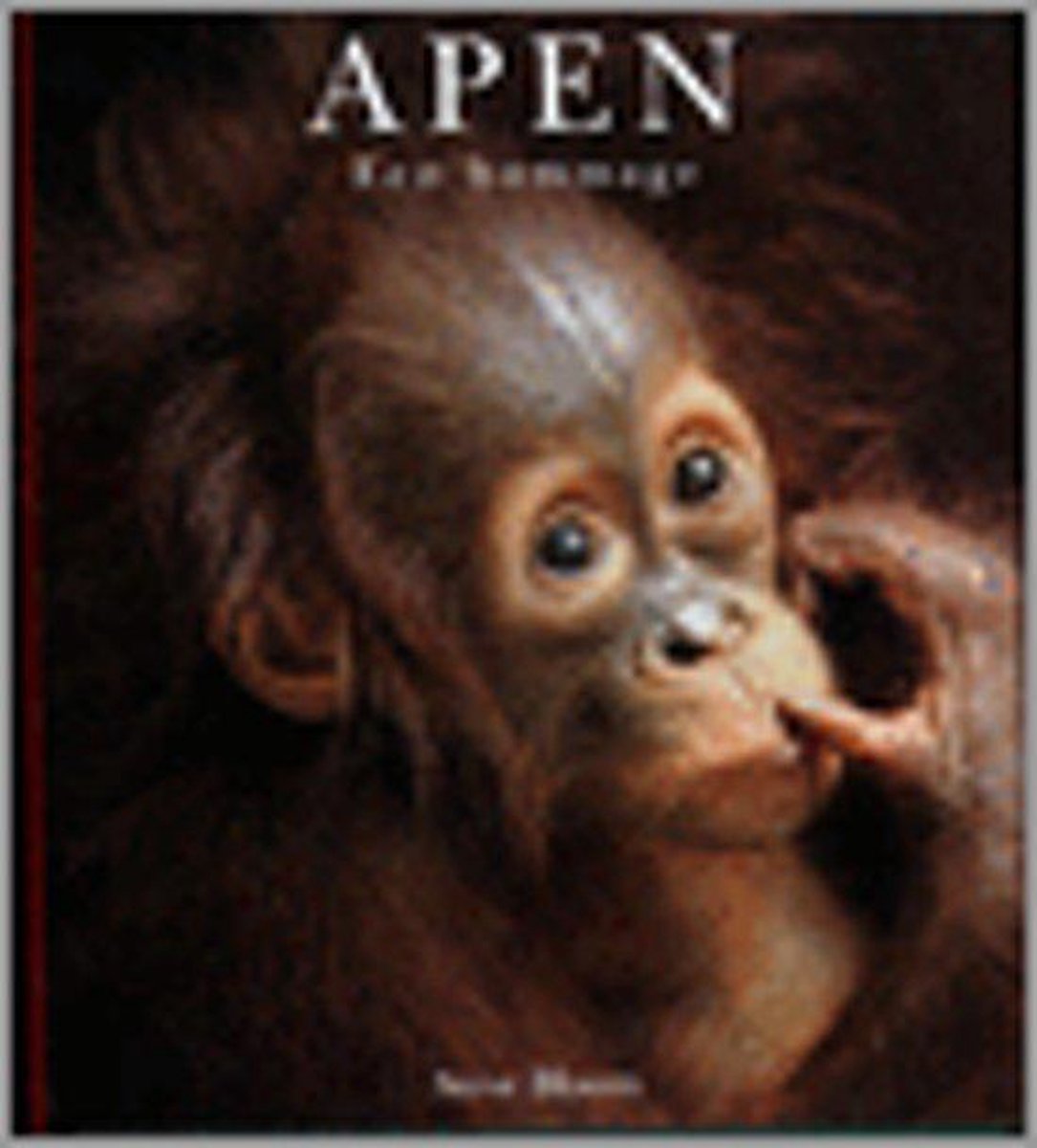 Steve Gibbons Apen, Een Hommage thumbnail