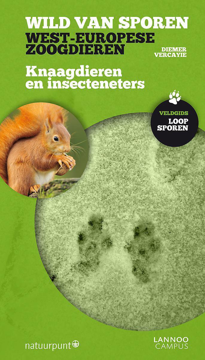 Knaagdieren en insecteneters