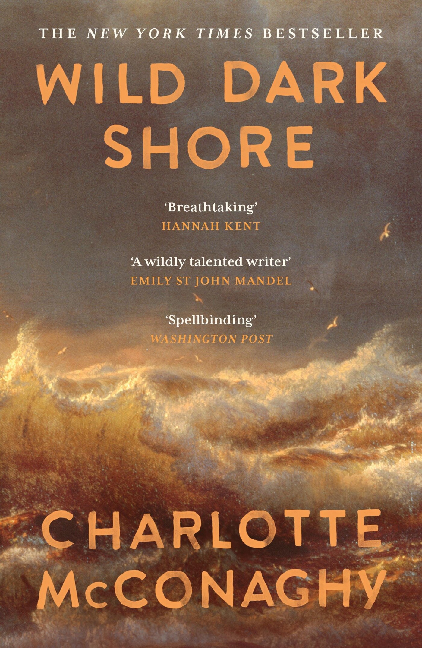 Wild dark shore