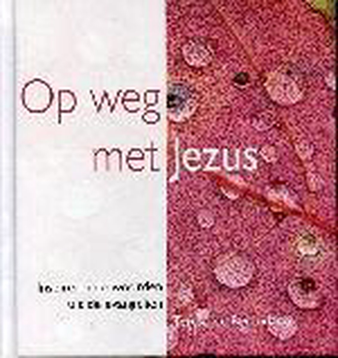 boekenbalie_9789033814105_cover Op weg met Jezus / Inspirerende woorden