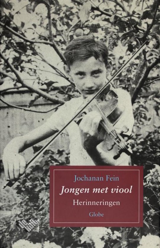 Jongen met viool