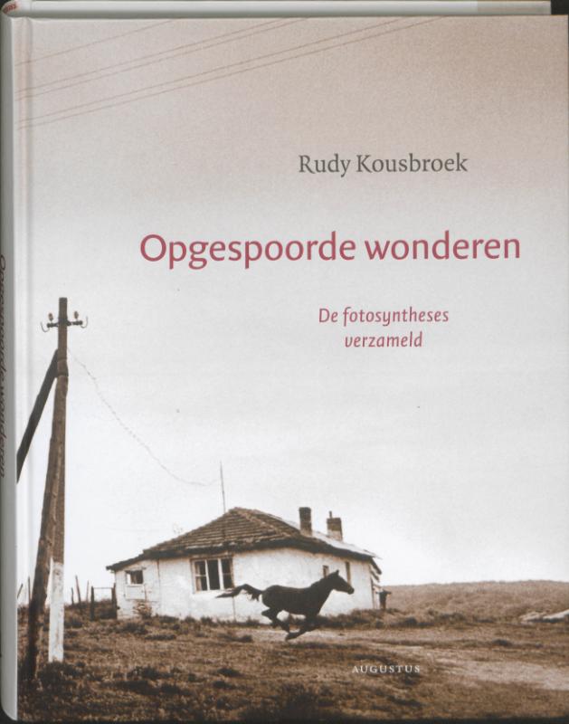 boekenbalie_9789045704425_cover Opgespoorde wonderen