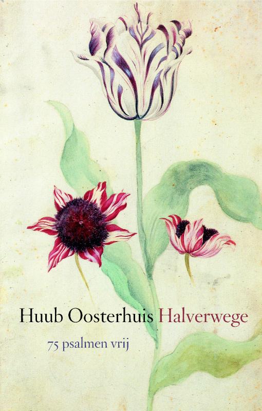 boekenbalie_9789025959210_cover Halverwege