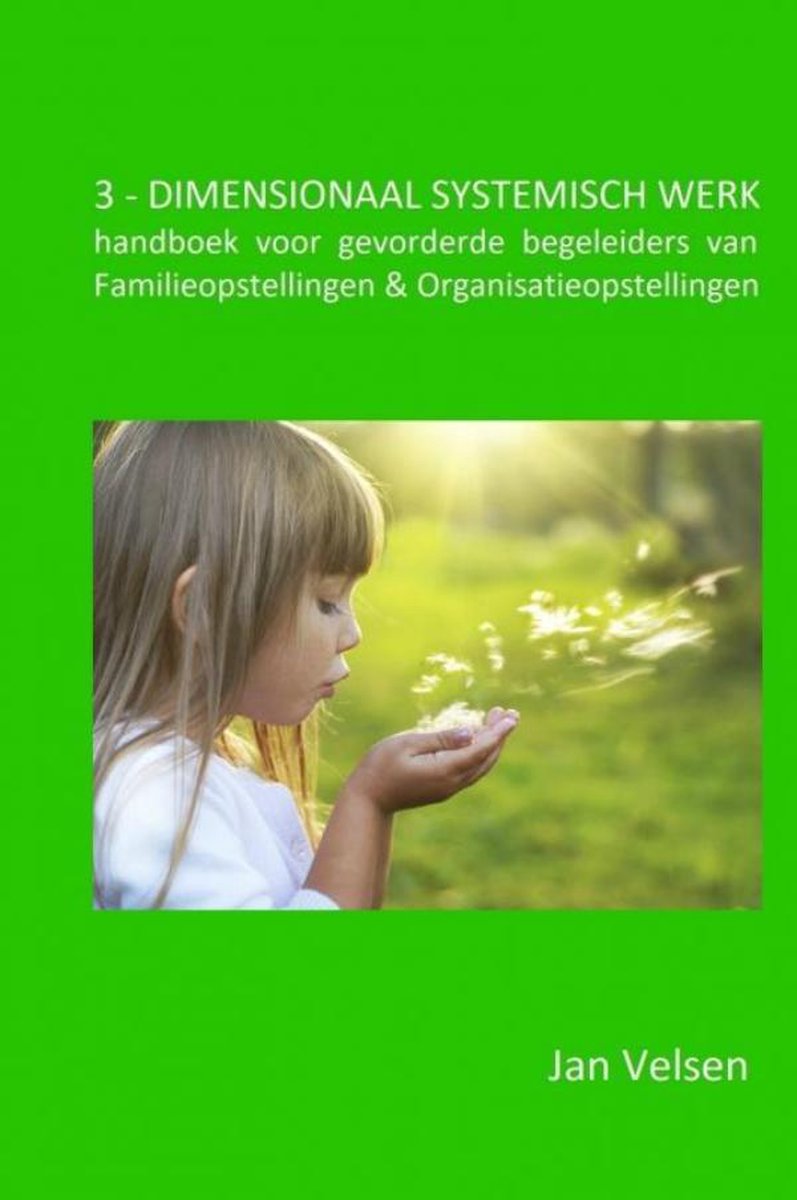 3 - DIMENSIONAAL SYSTEMISCH WERK