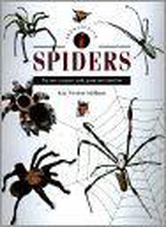 Identifying Guide- Identifying Spiders