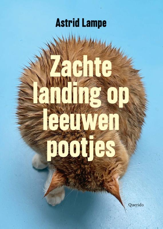 Zachte landing op leeuwenpootjes