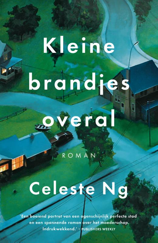 Celeste Ng Kleine Brandjes Overal thumbnail