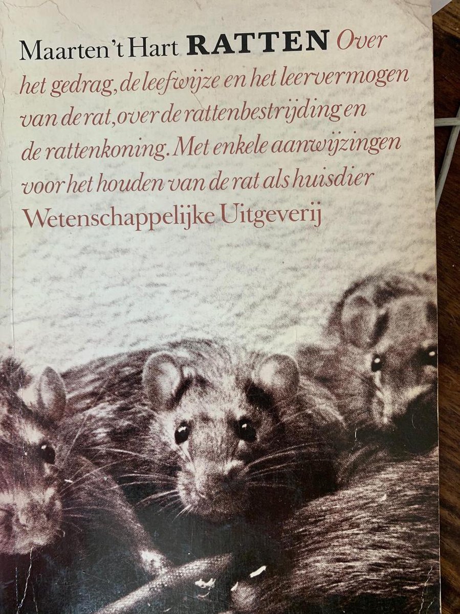 RATTEN