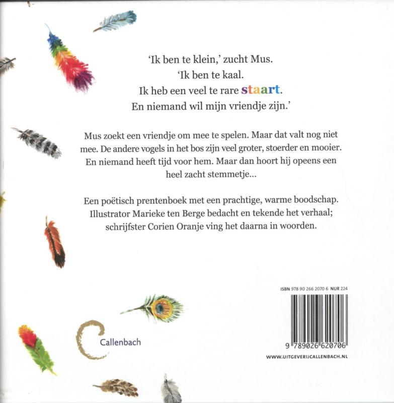 Kom je met me spelen? achterkant
