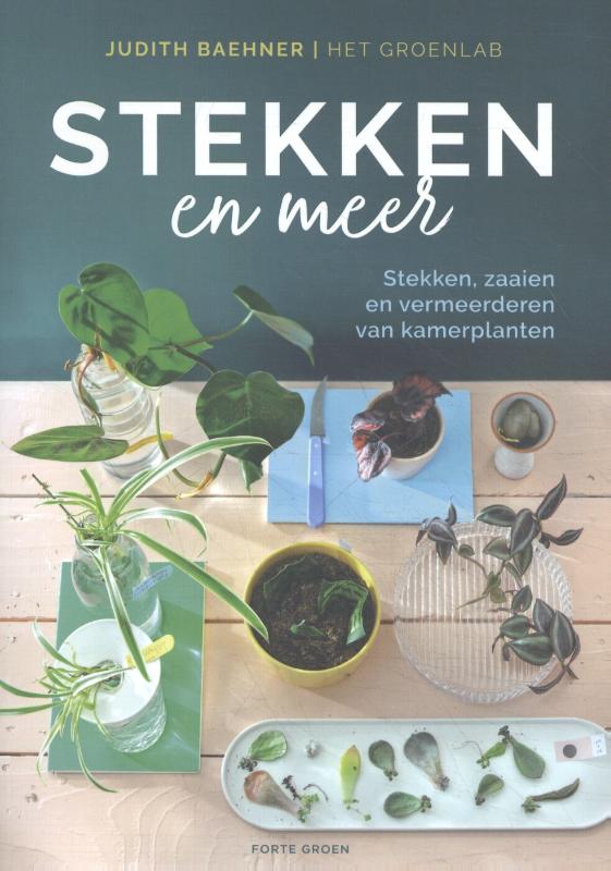 Judith Baehner Stekken En Meer thumbnail