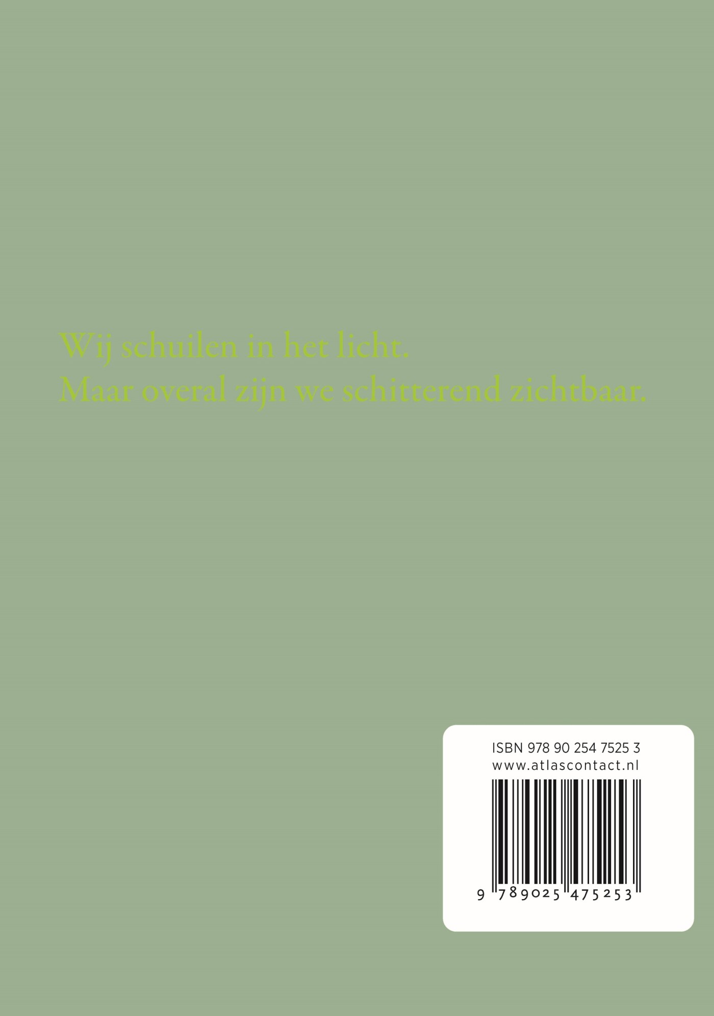 Licht dat naar ons tast achterkant