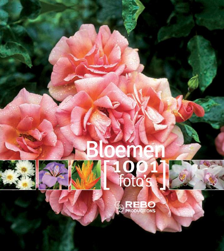 boekenbalie_9789036624428_cover Bloemen 1001 Foto's