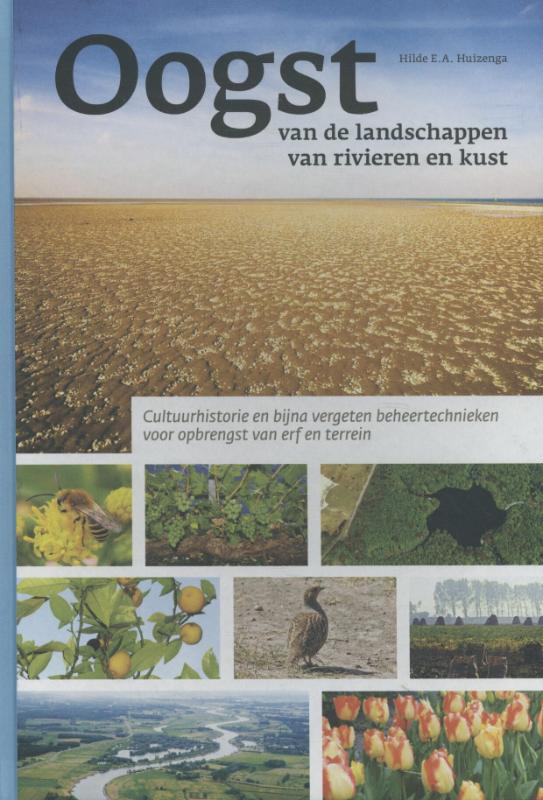 Oogst van de landschappen van rivieren en kust