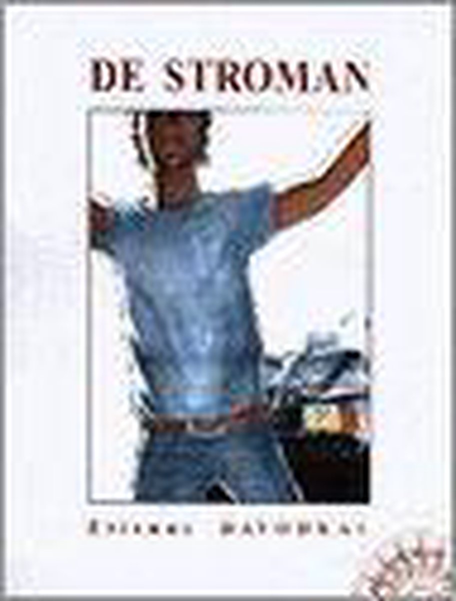 Beeldroman 5 - De stroman - Etienne Davodeau